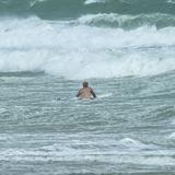 Tiburón muerde en la cara a un surfista en una playa de Florida