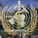 Brote de COVID-19 entre personal de la Organización Mundial de la Salud