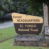Ya no habrá que hacer reservación para visitar las áreas recreativas de El Yunque