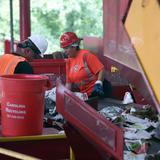 Avanza el reciclaje en Carolina