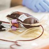 Banco de Sangre urge donantes tipo O negativo