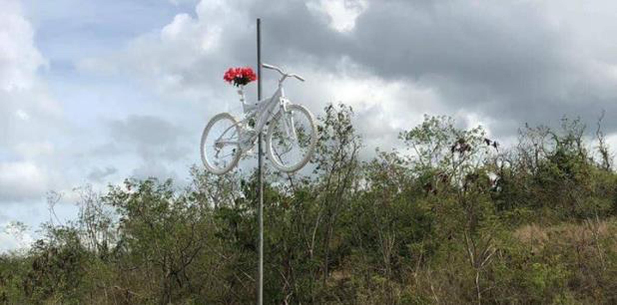 Harán una parada en la carretera 10 antes de la salida hacia la carretera 14 de Ponce a Adjuntas, donde Fernando Soto Castillo de 64 años, falleció cuando corría bicicleta junto a dos nietos al ser atropellados por un conductor. (Archivo)