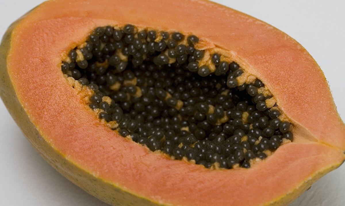 Los secretos de la papaya Primera Hora