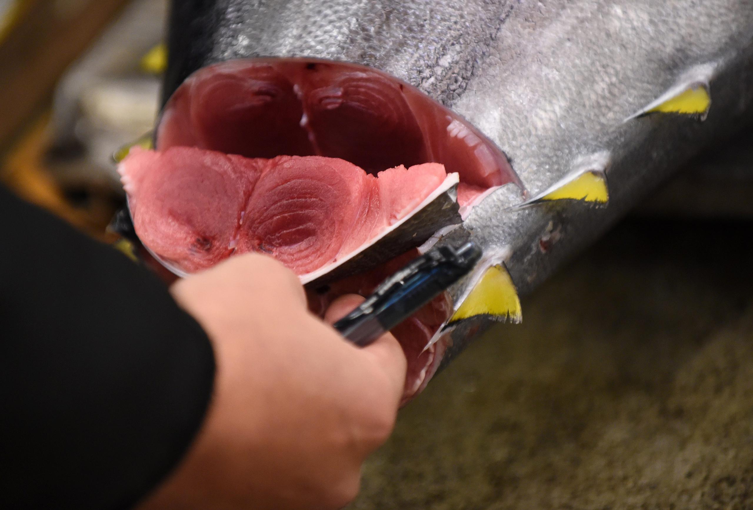 El récord lo sigue ostentando un atún rojo que alcanzó los 2.52 millones de dólares en la primera subasta de 2019, la primera que se celebró en Toyosu después de que la lonja fuera trasladada ahí desde su anterior localización en el cercano barrio de Tsukiji.
