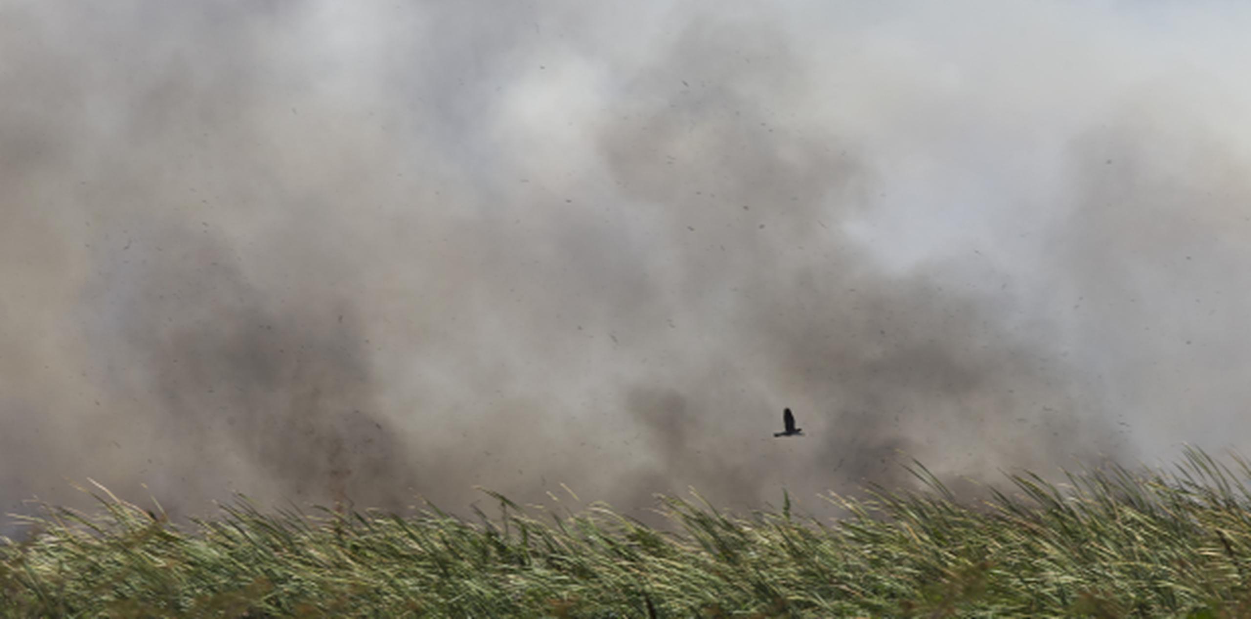 La zona afectada por este fuego forestal está clasificada por el Monitor de Sequía de los Estados Unidos en sequía extrema. (jorge.ramirez@gfrmedia.com)