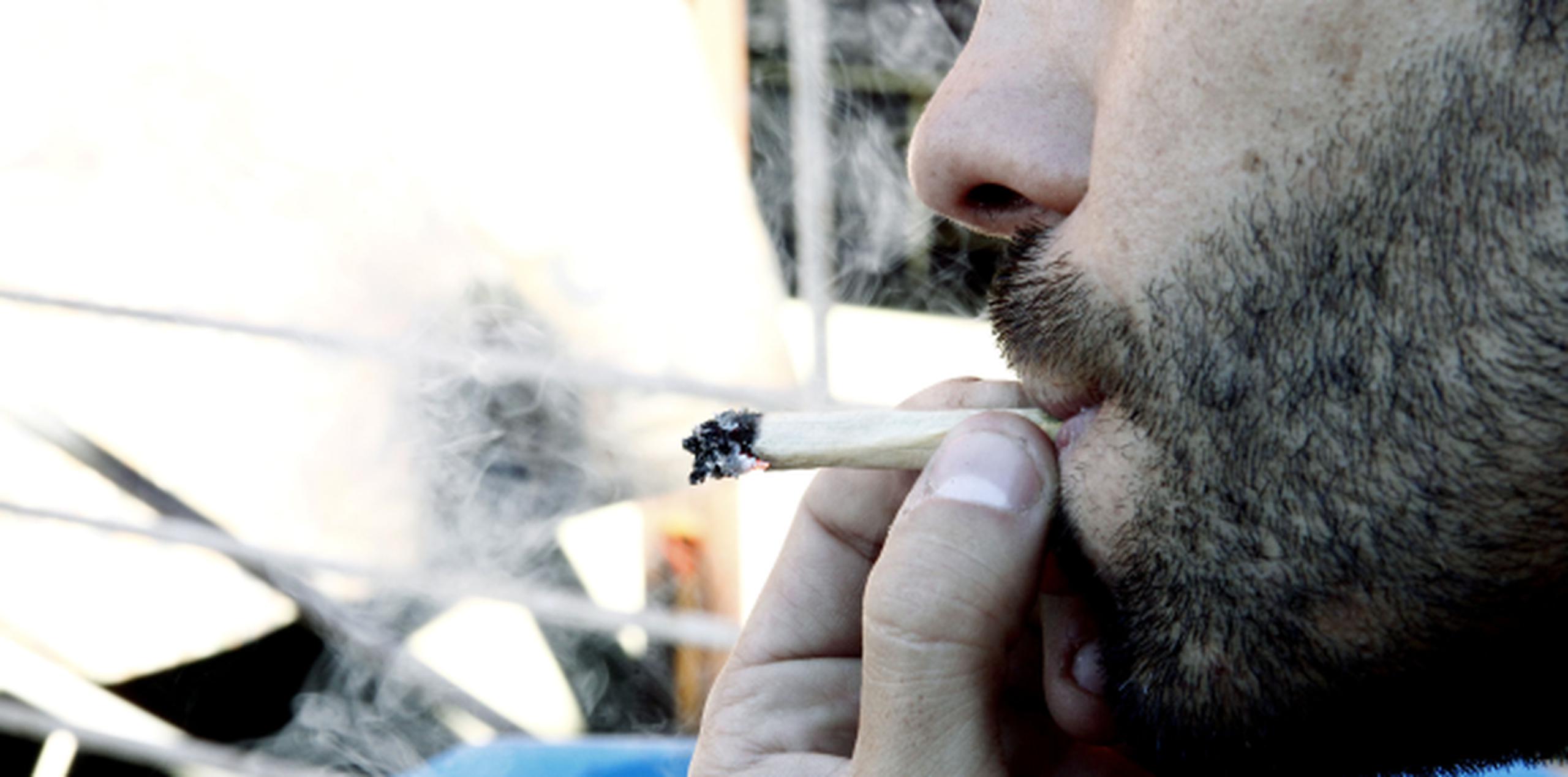 El Parlamento uruguayo sancionó el 10 de diciembre de 2013 una ley que transformó a Uruguay en el primer país del mundo en tener un mercado legal de marihuana desde su siembra hasta su venta al público en las farmacias. (EFE / Raúl Martínez)