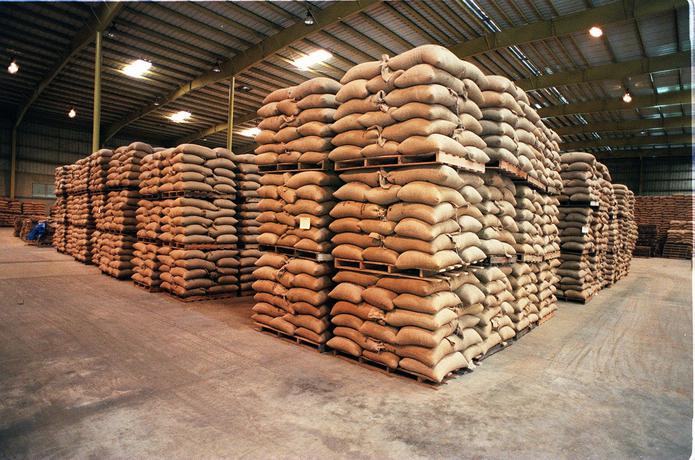 PROCAFE asegura que durante el presente cuatrienio, la agencia ha importado cerca de 750,000 quintales de café a través del almacén Yahuecas.