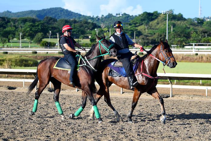 Sandovlera -izquierda- trata en la pista del hipódromo Camarero junto a su pony boy.  El potro venezolano correrá en el Clásico del Caribe.