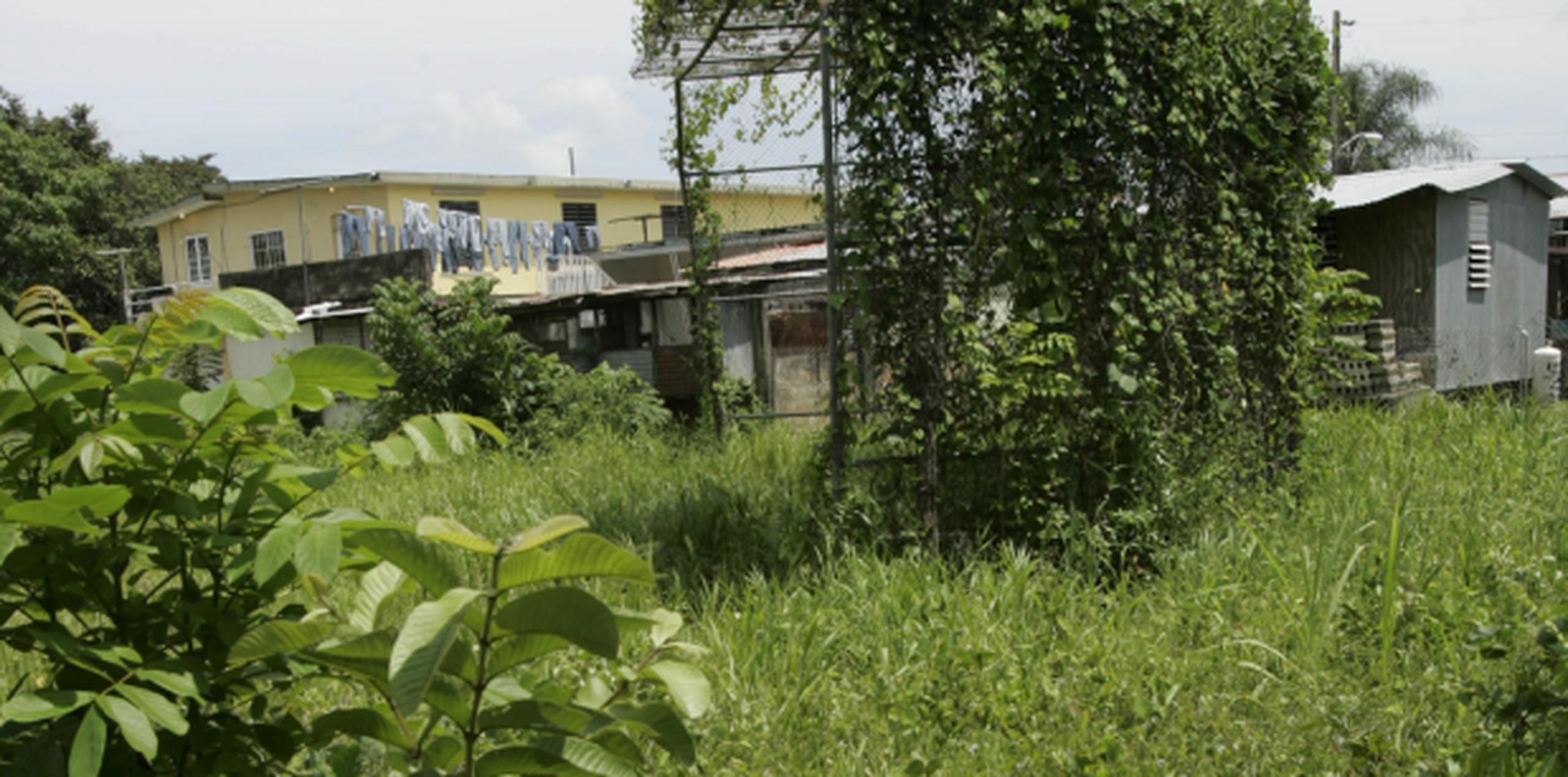 La UPR tiene ocho propiedades abandonadas a las que no le han encontrado uso académico, administrativo o investigativo. (Archivo)