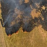 Los incendios en la Amazonía brasileña crecieron un 15.9% en febrero