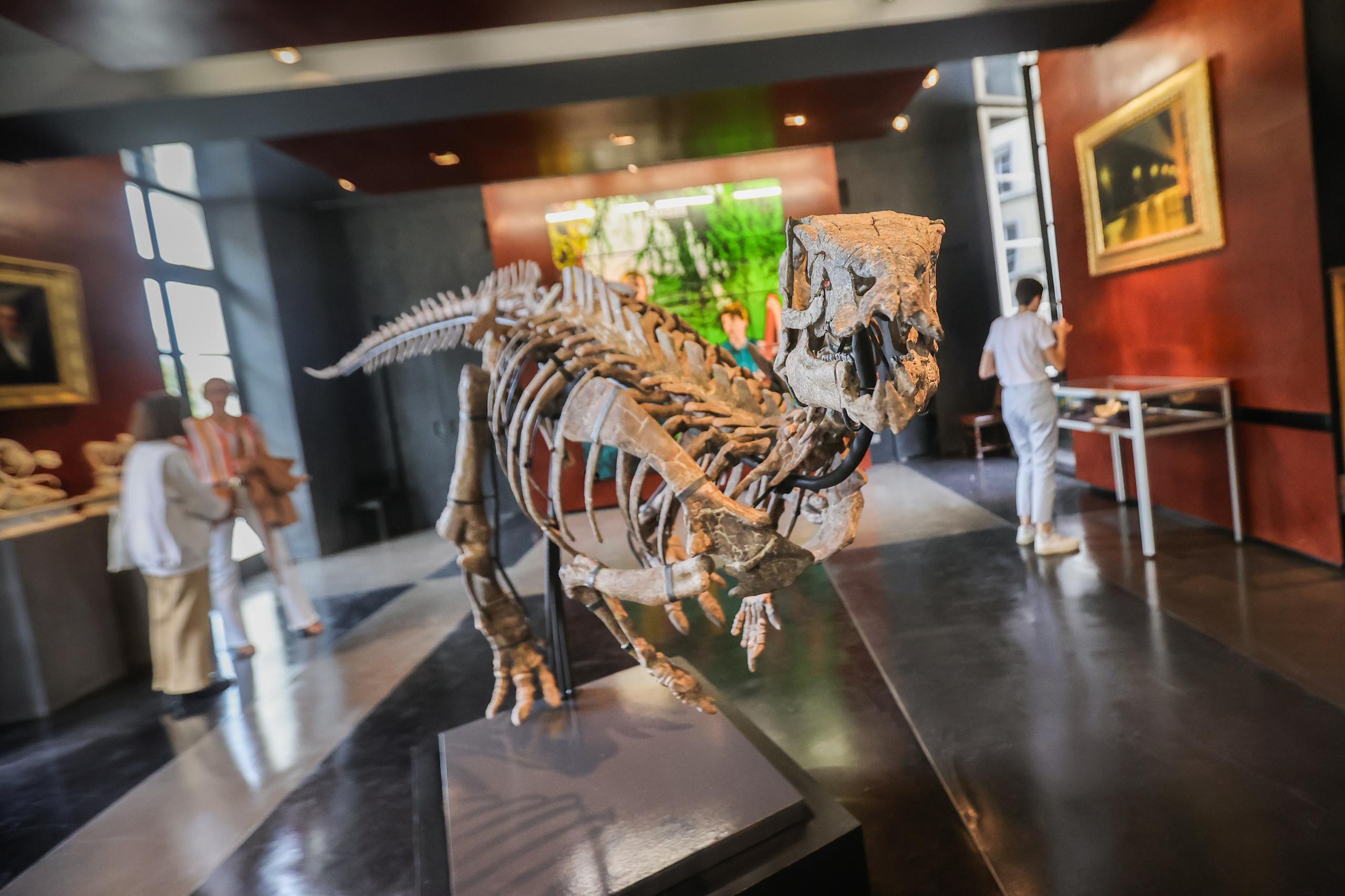 Imagen del esqueleto del Iguanodon. EFE/EPA/TERESA SUAREZ
