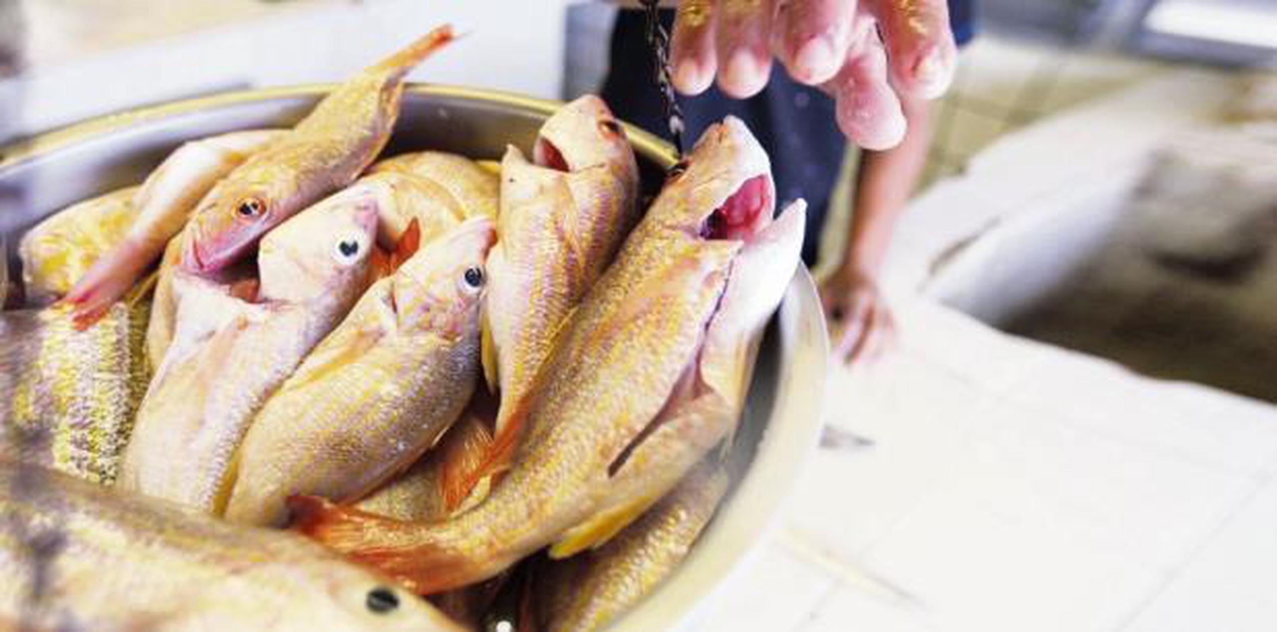 Al ser este el plato más consumido en la Semana Mayor, Rodríguez Mercado alertó sobre la ciguatera, una enfermedad derivada del pescado. (Archivo)