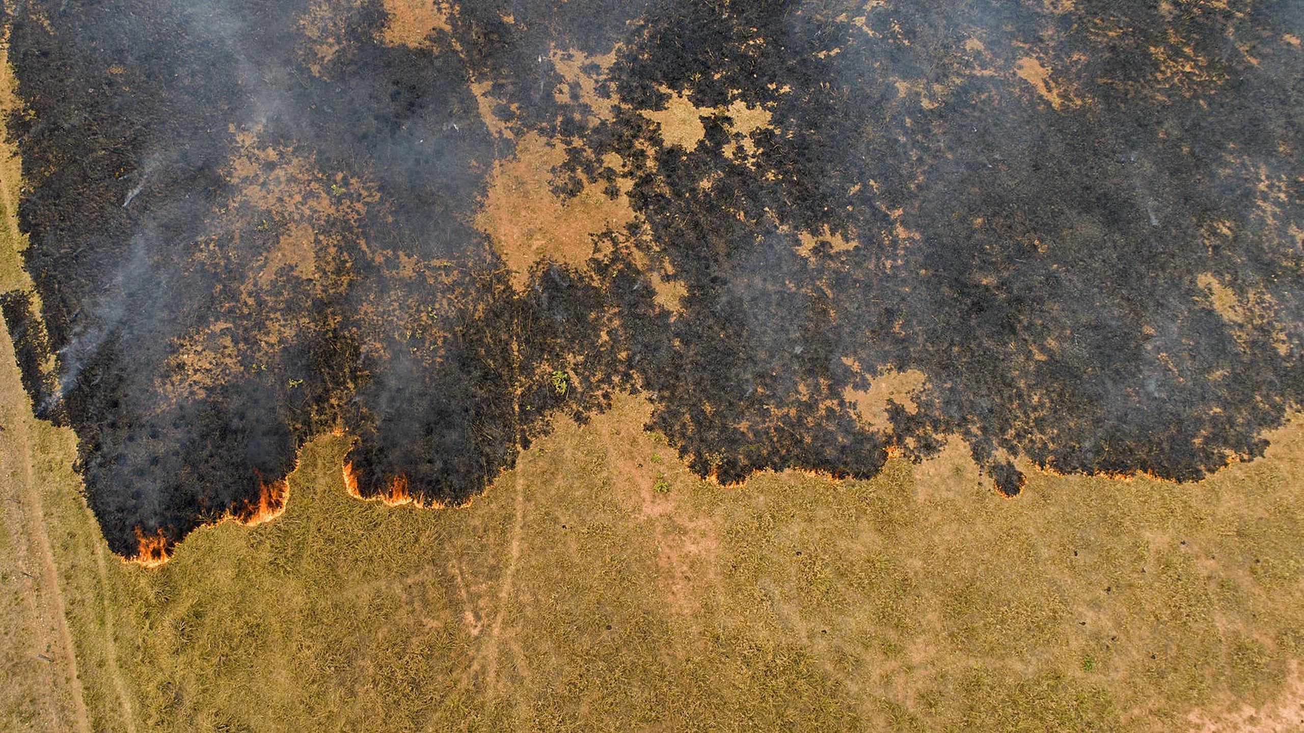 Vista de un incendio en las cercanías de Cuiabá, estado de Mato Grosso, en Brasil. (EFE/Rogerio Florentino)
