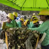 Retiran 300 toneladas de basura de un río de Guatemala 