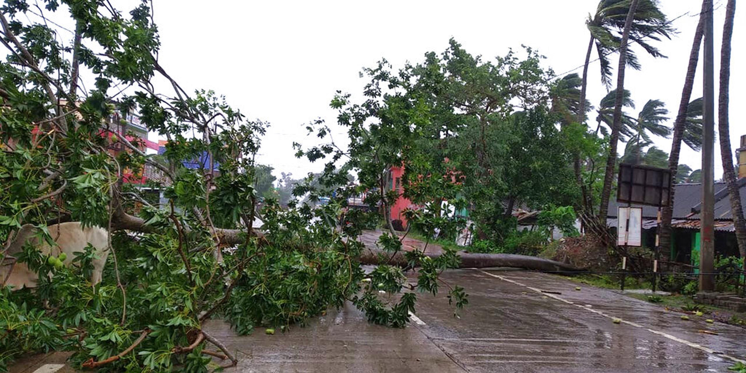Árboles derribados por el viento sobre una autopista antes de que Amphan tocara tierra hoy en Chandbali, en la costa de la Bahía de Bengala, India.