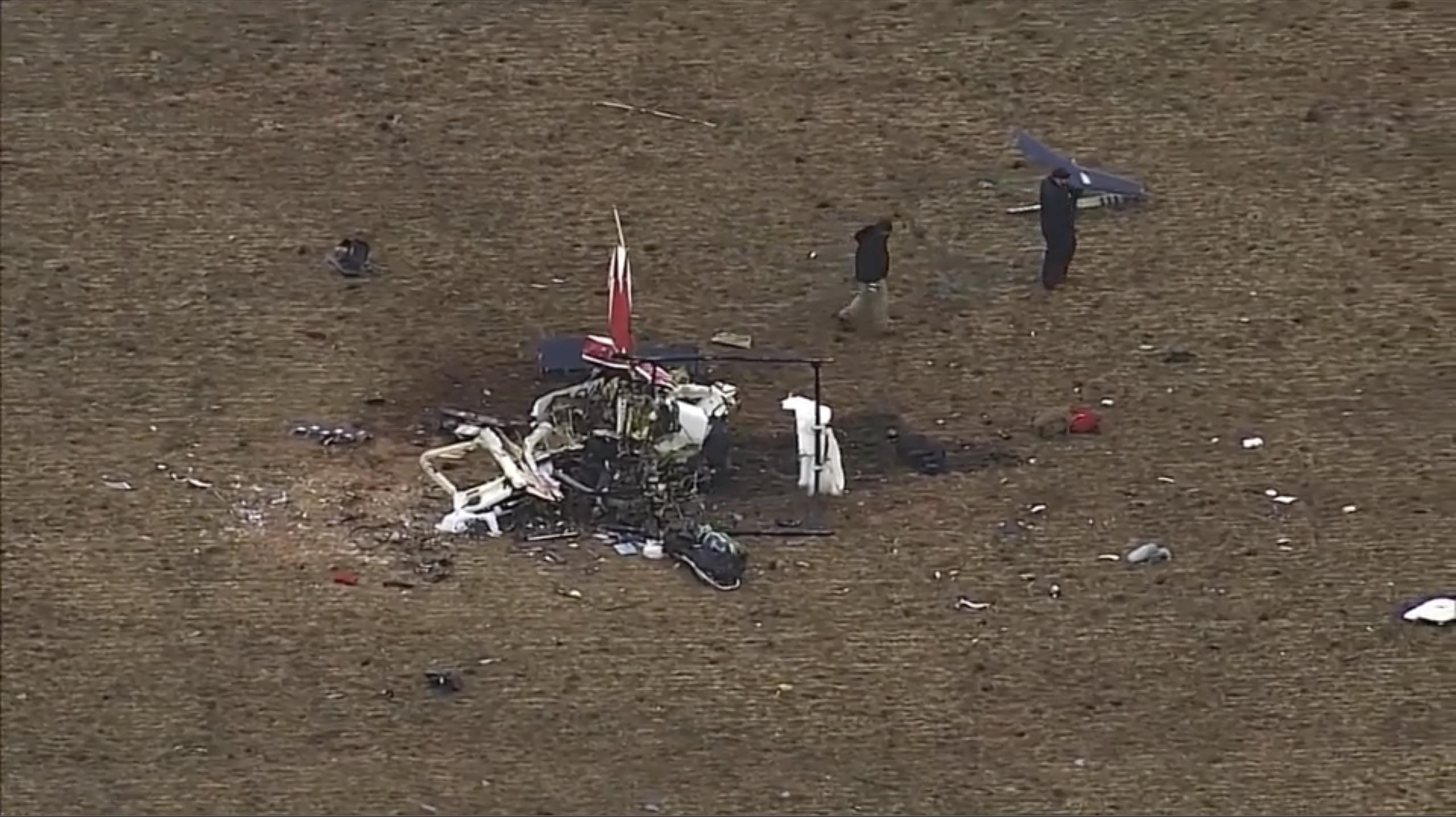 El reporte no cita una causa probable del accidente, pero señala que se encontró un ganso en el sistema de control de vuelo del helicóptero y otros en el campo de escombros.