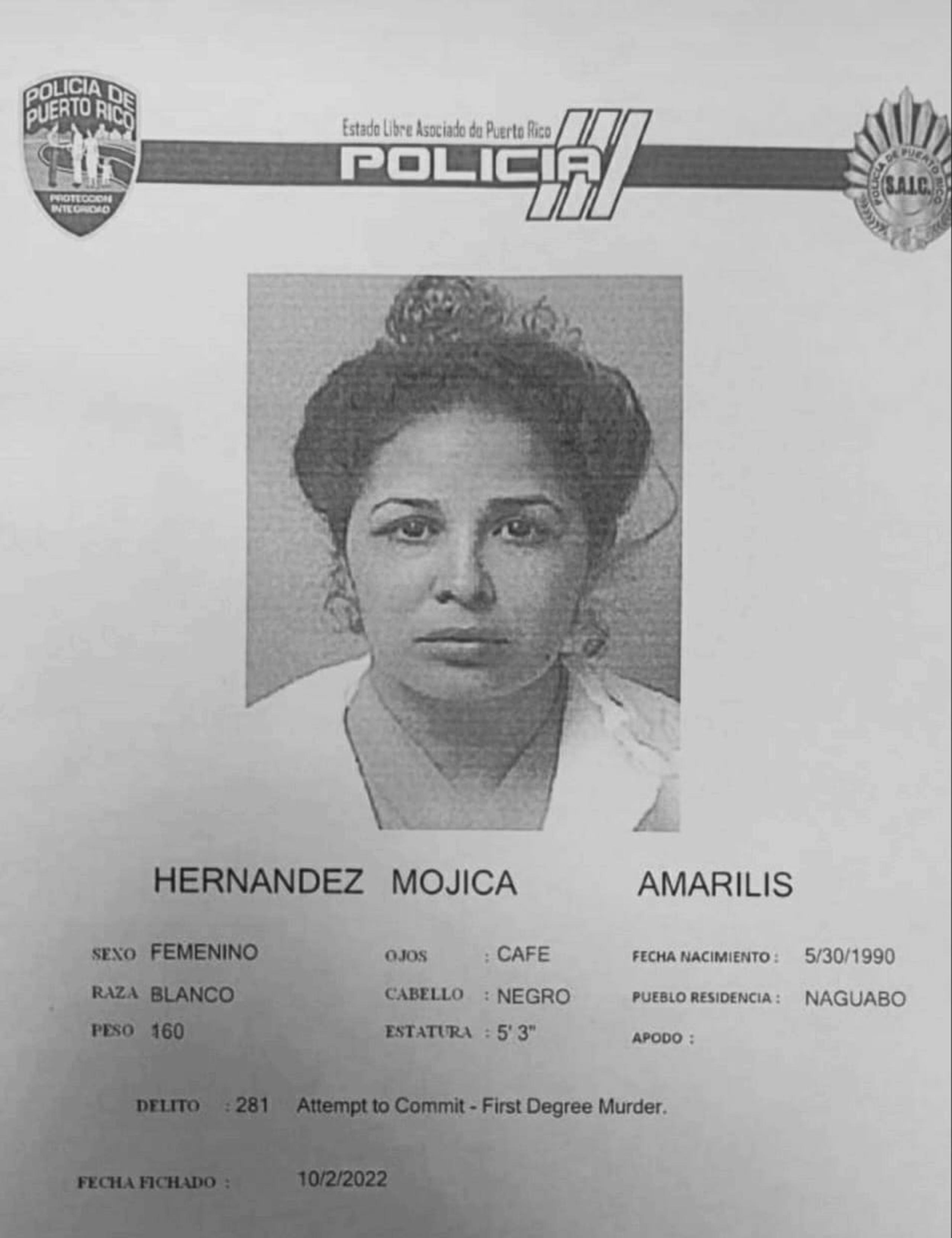 Amarilis Hernández Mojica fue acusada por cargos de tentativa de asesinato y violencia de género.