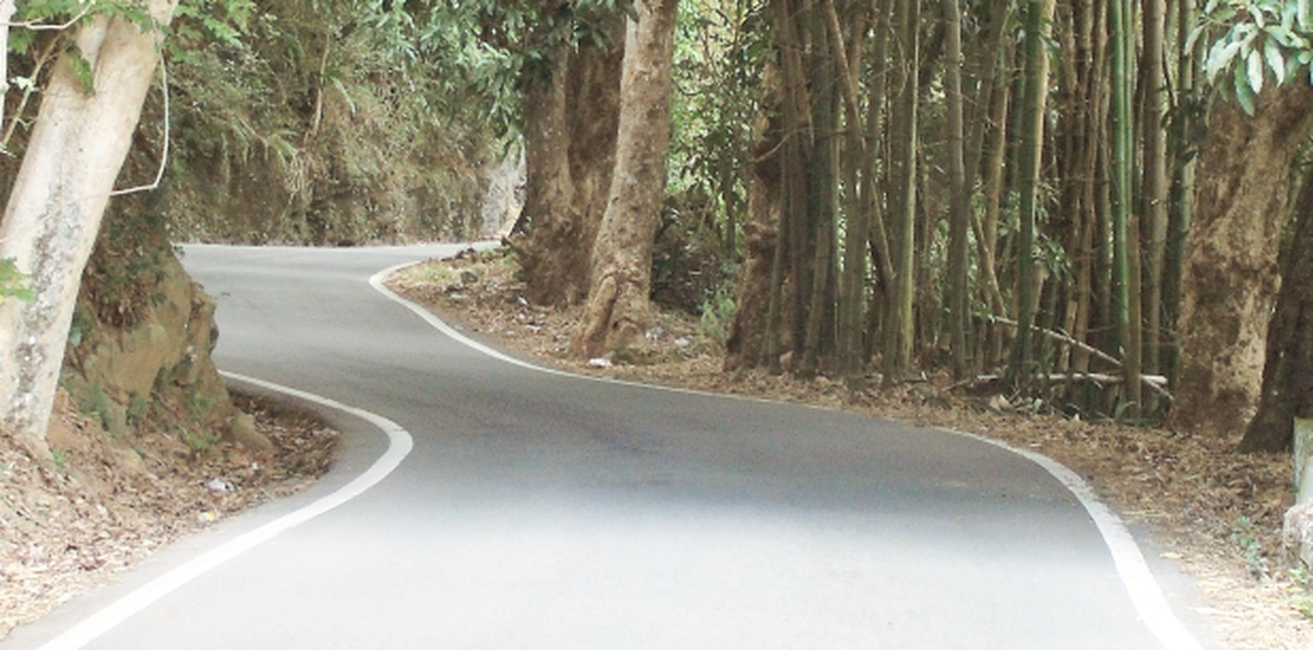 Las mejoras comprenden desde el kilómetro 55.8 hasta el 73, que son 17.20 kilómetros entre Juana Díaz y Villalba. (Archivo)
