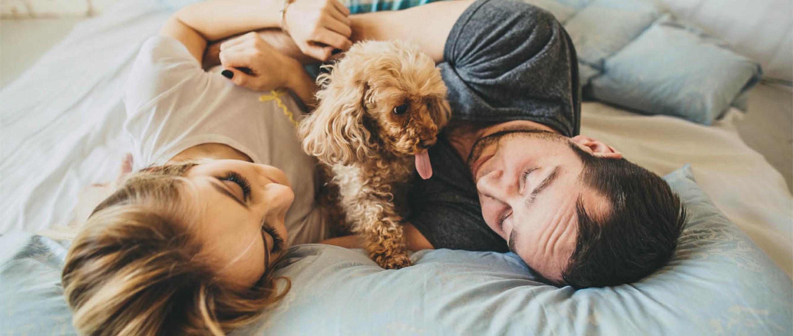 Tanto la pareja como la mascota son importantes, por lo cual se deben establecer límites y acuerdos. (Shutterstock)
