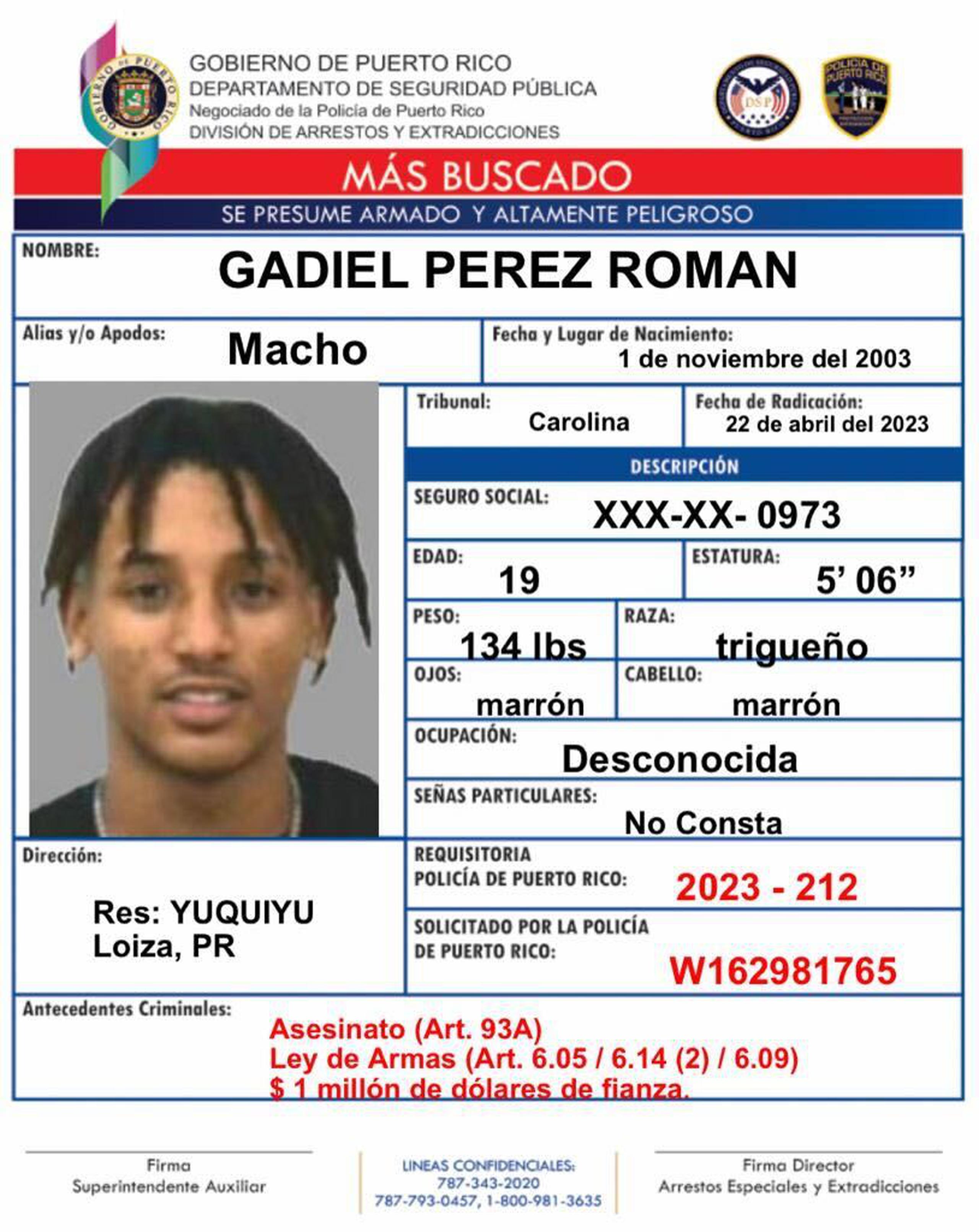 Gadiel Pérez Román