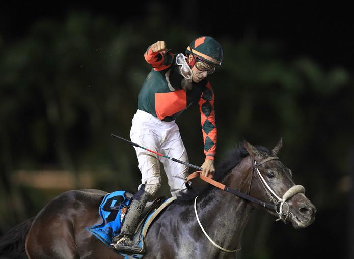 El caballo puertorriqueo Tamborero gana el Clsico del Caribe en el Hipdromo Camarero Foto ramon.zayas@gfrmedia.com