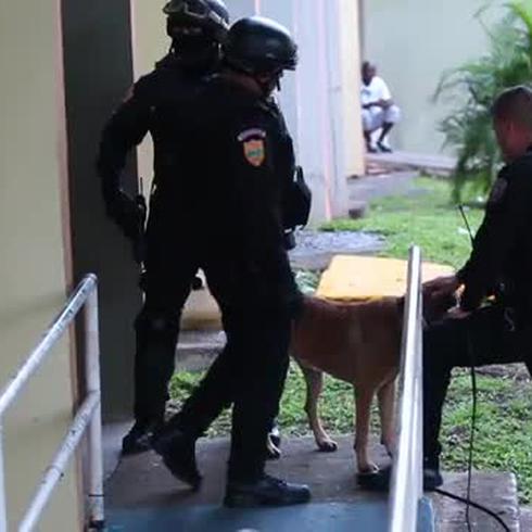 Policía realiza allanamientos en residencial Alejandrino