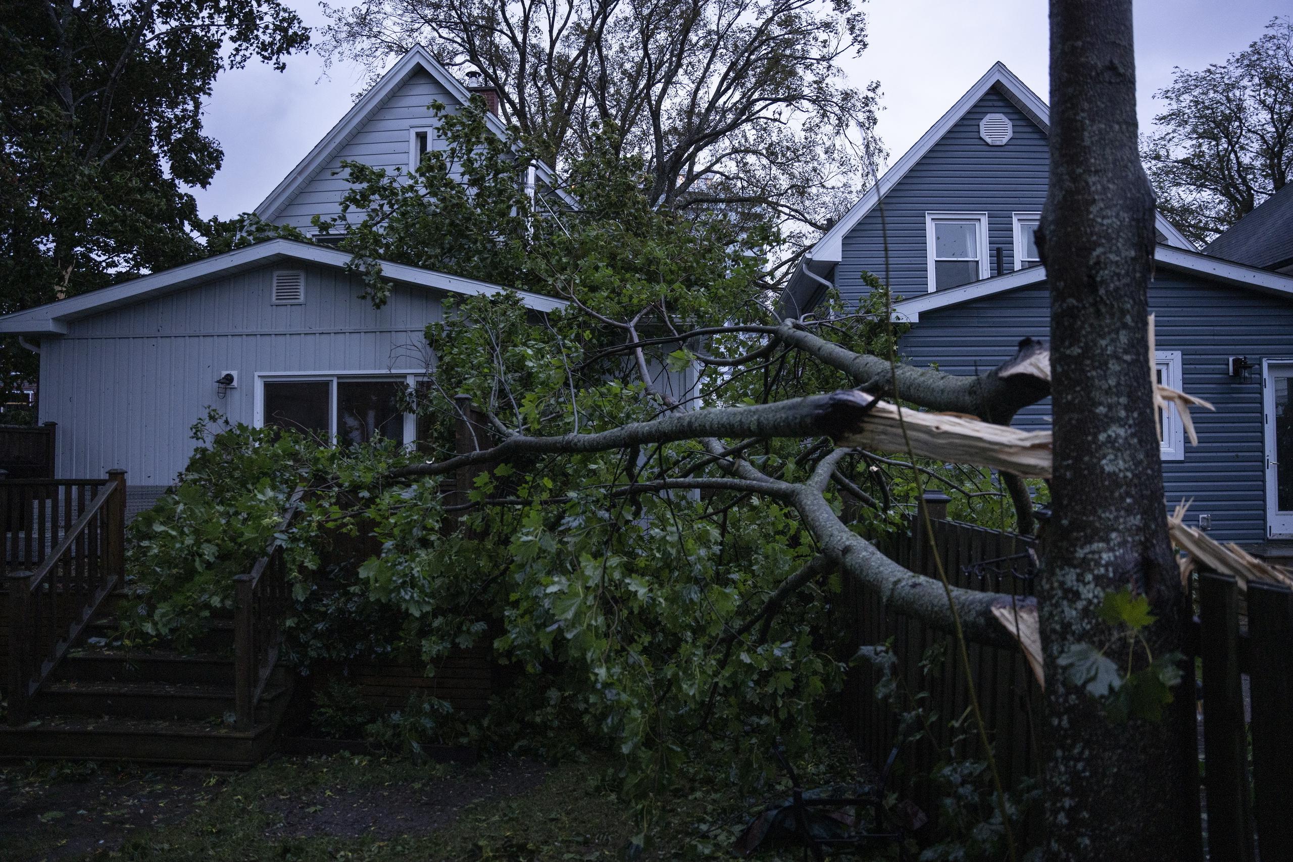 Un árbol caído por los vientos fuertes que trajo la tormenta Fiona y que azotaron la región atlántica de Canadá descansa sobre una casa.