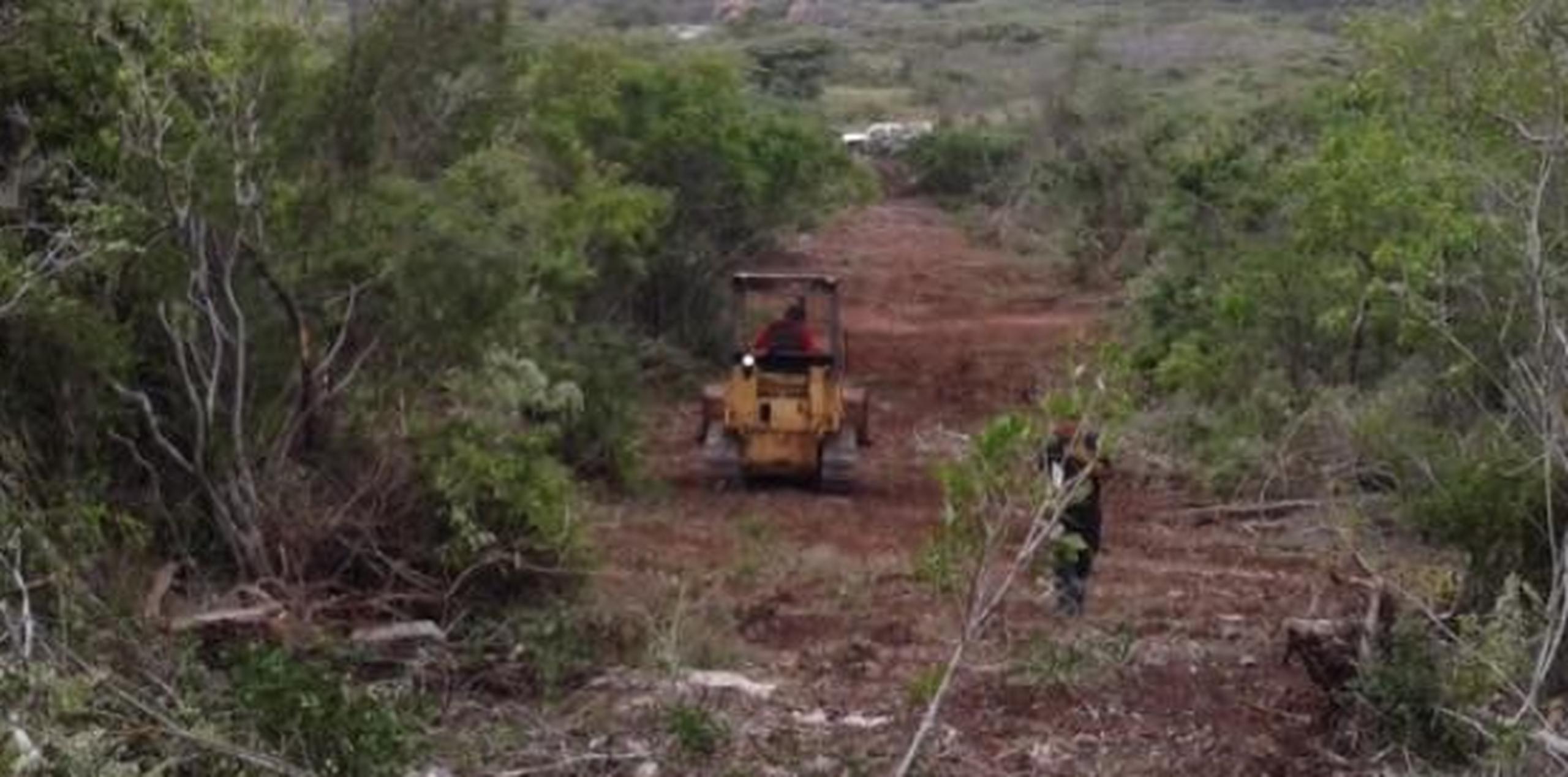 El exmanejador del Bosque Seco de Guánica, Miguel Canals,  asegura que la OGP le había concedido los permisos sin considerar algunos elementos legales que necesitaban. (Suministrada)