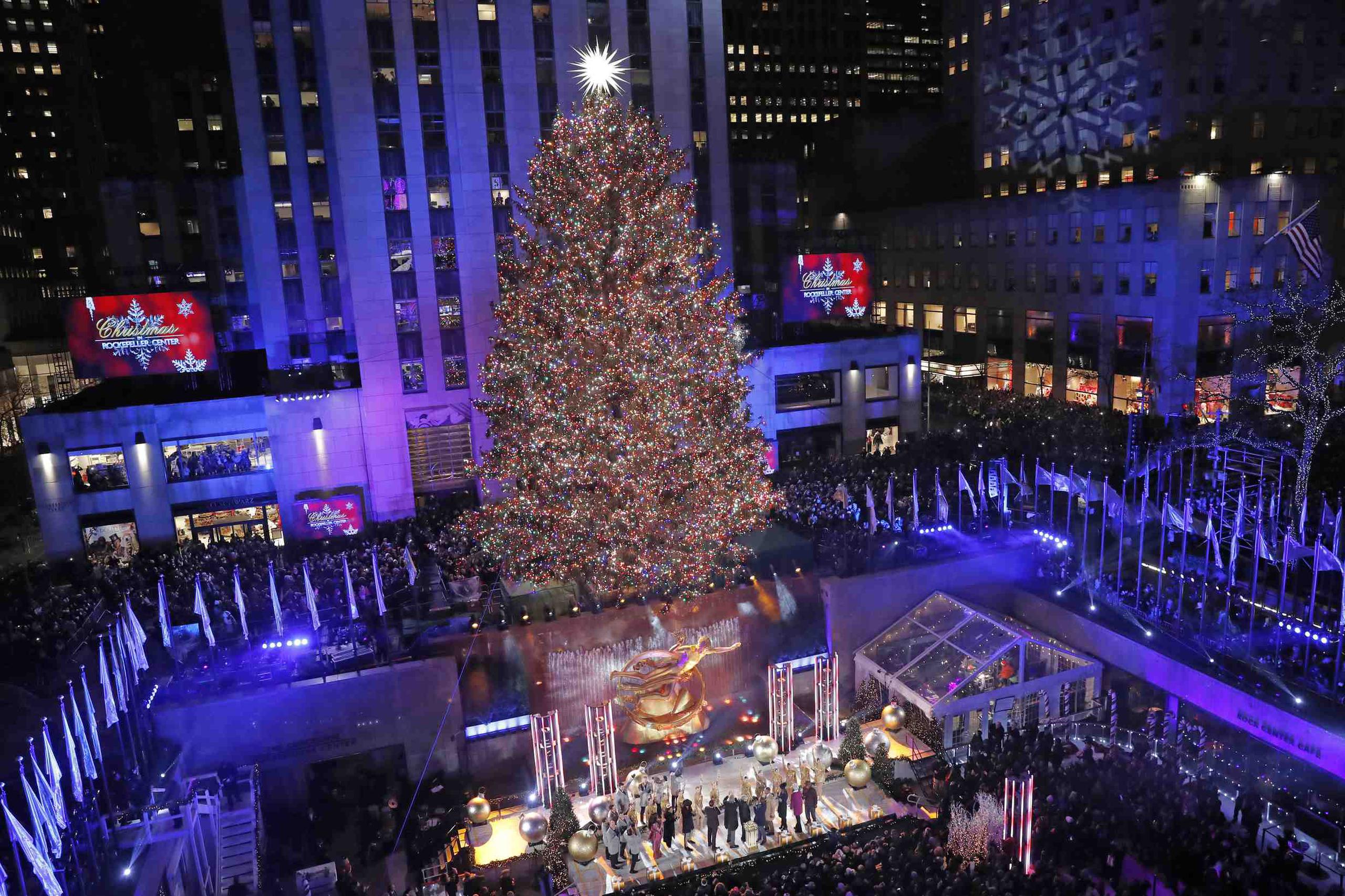 El árbol mide 77 pies de alto y pesa 14 toneladas. (AP / Kathy Willens)