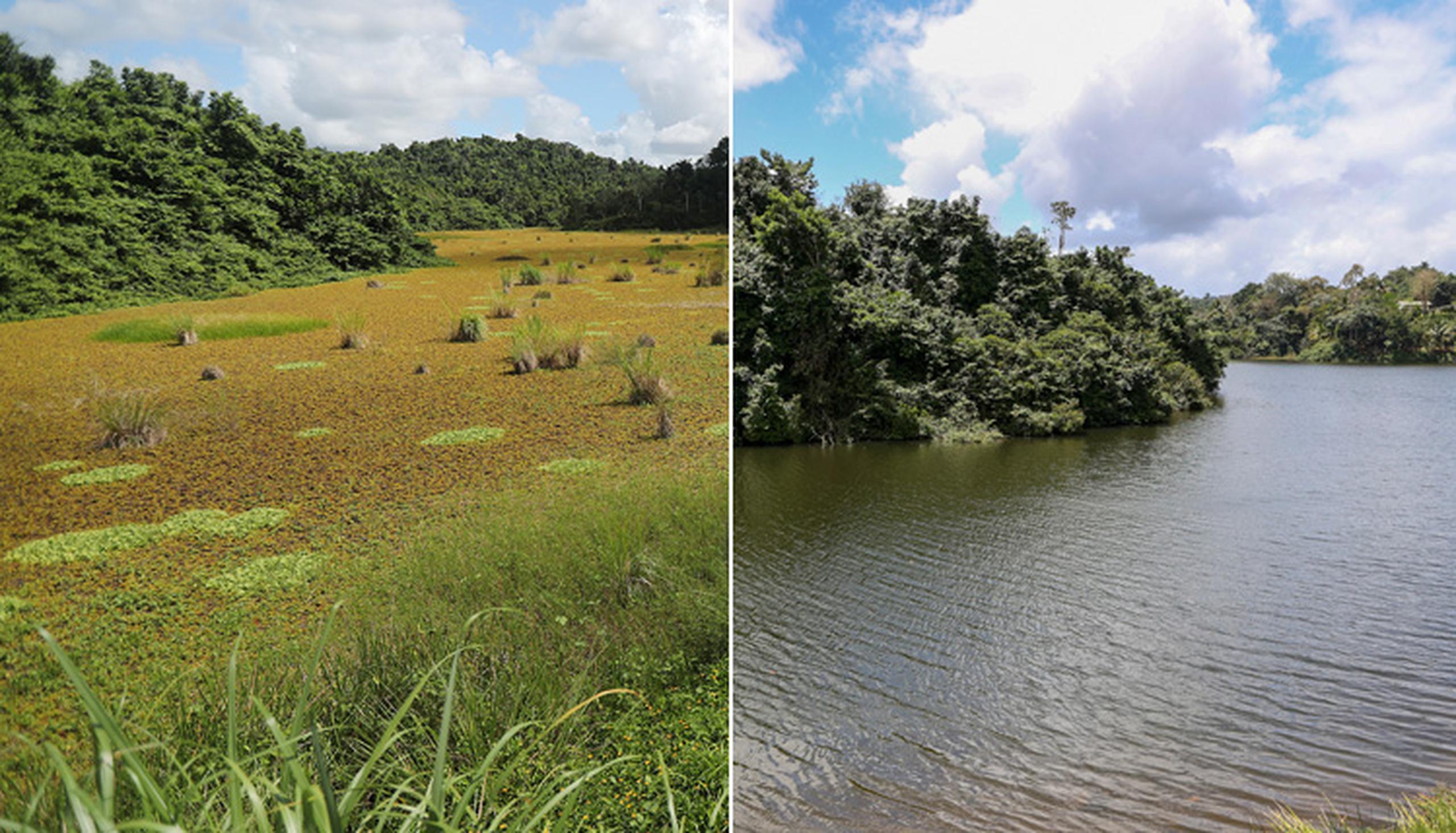 A la izquierda, cómo se veía el lago Las Curias en el 2019, mientras que a la derecha, cómo luce en la actualidad.