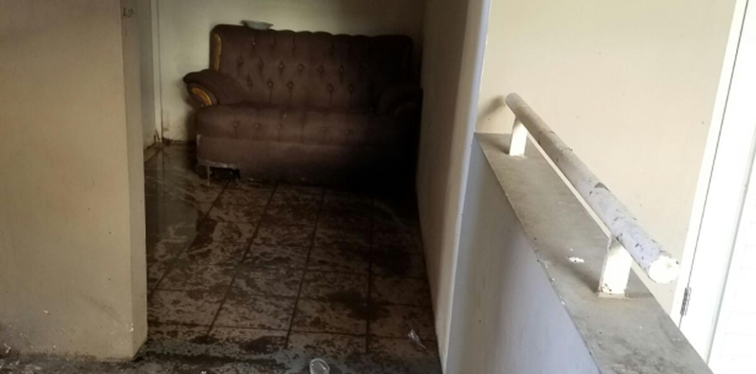 Vistazo parcial de una residencia afectada por el problema de aguas negras en Lares. (Suministrada)