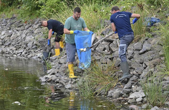 “La magnitud de las muertes de peces es asombrosa. Es un golpe al [río] Oder como un río de gran valor ecológico", mencionó el ministro ambiental de Alemania, Alex Vogel.