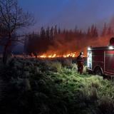 Portugal va a enviar un centenar de bomberos para combatir los incendios en Canadá 