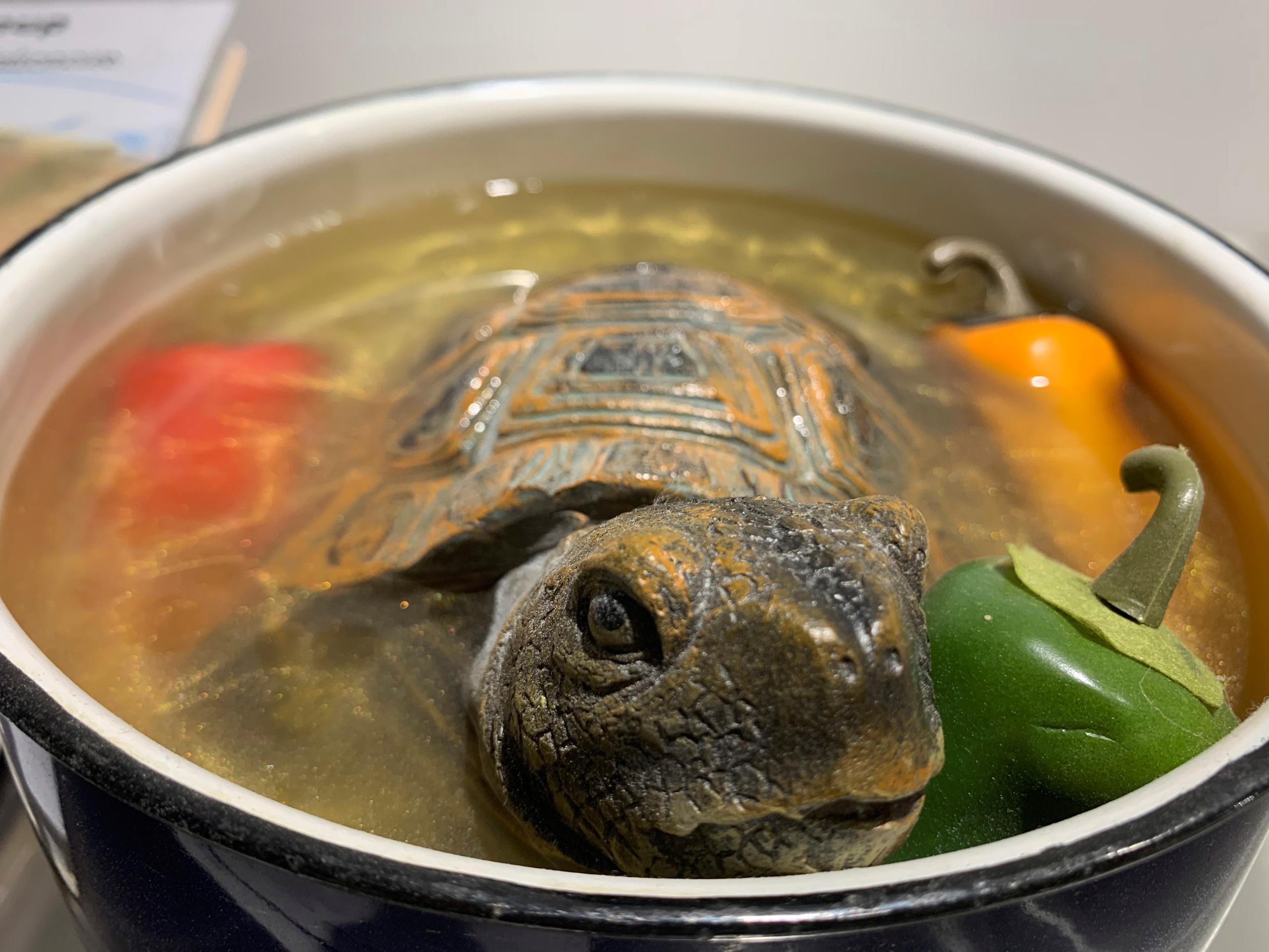 Sopa de tortuga -plato de China- expuesta en el Disgusting Food Museum, en Berlín.