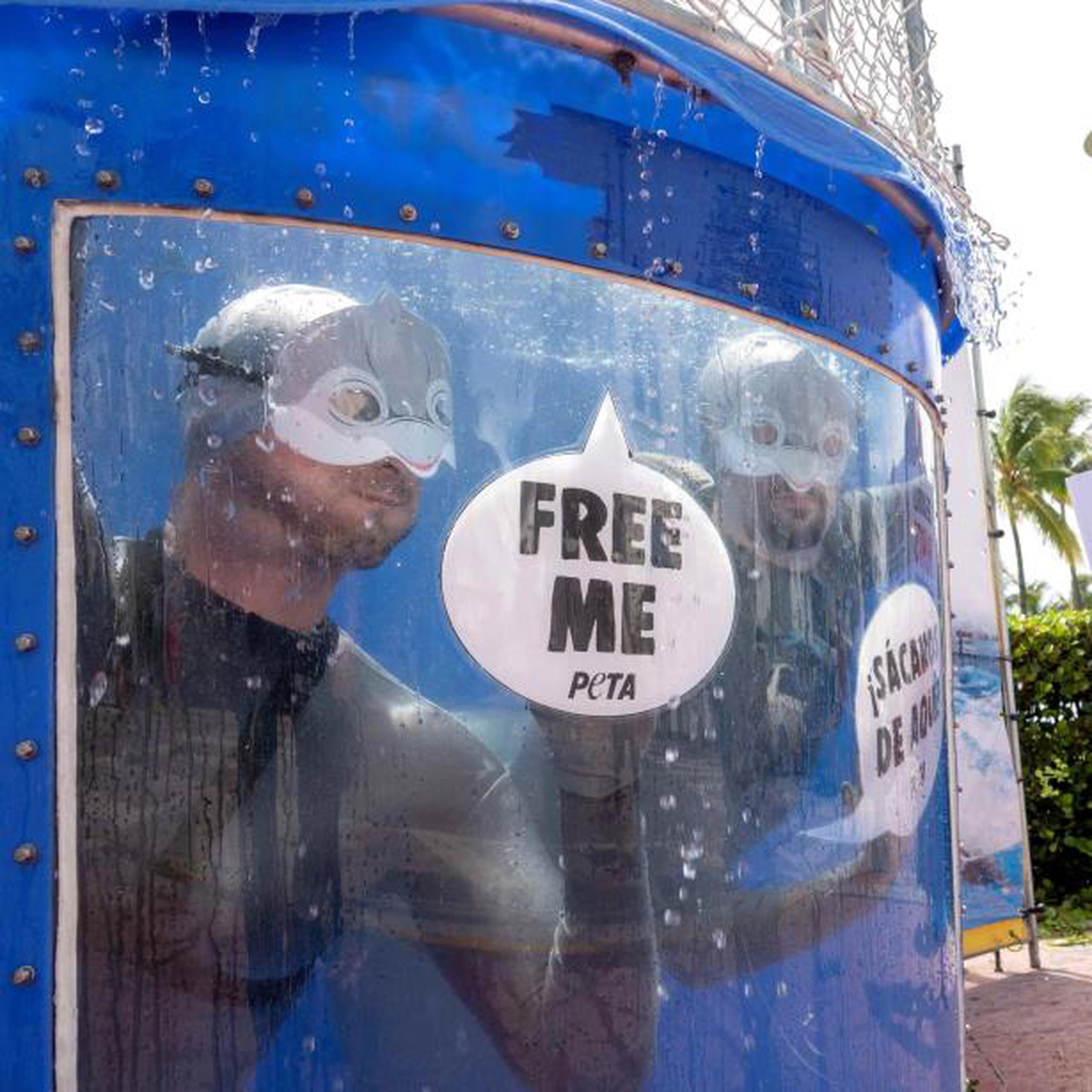 Los "delfines" de PETA sostuvieron debajo del agua letreros en los que se leían reclamos tales como "estamos sufriendo" y "sácanos de aquí". (EFE)