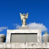 Roban 21 lápidas de bronce de cementerio en Vega Baja