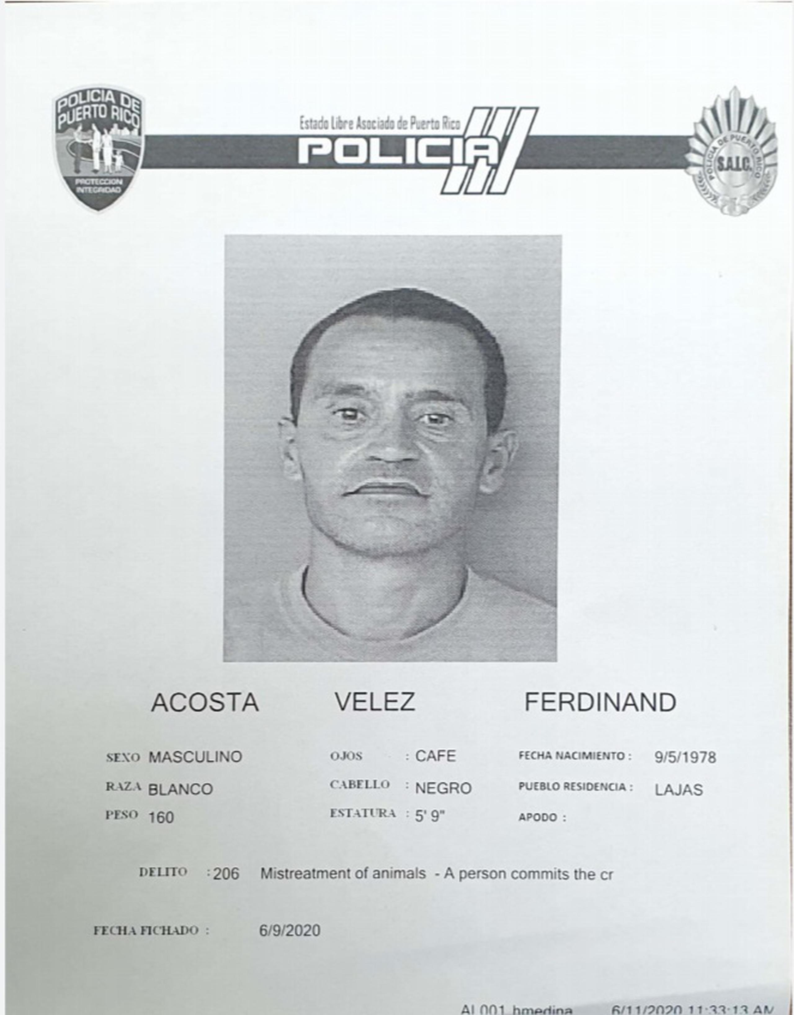 Ferdinand Acosta Vélez, fue acusado por el delito de maltrato de animales tras presuntamente azotar con a su perro con un fuete de caballo el lunes, en el barrio Santa Rosa de Lajas.
