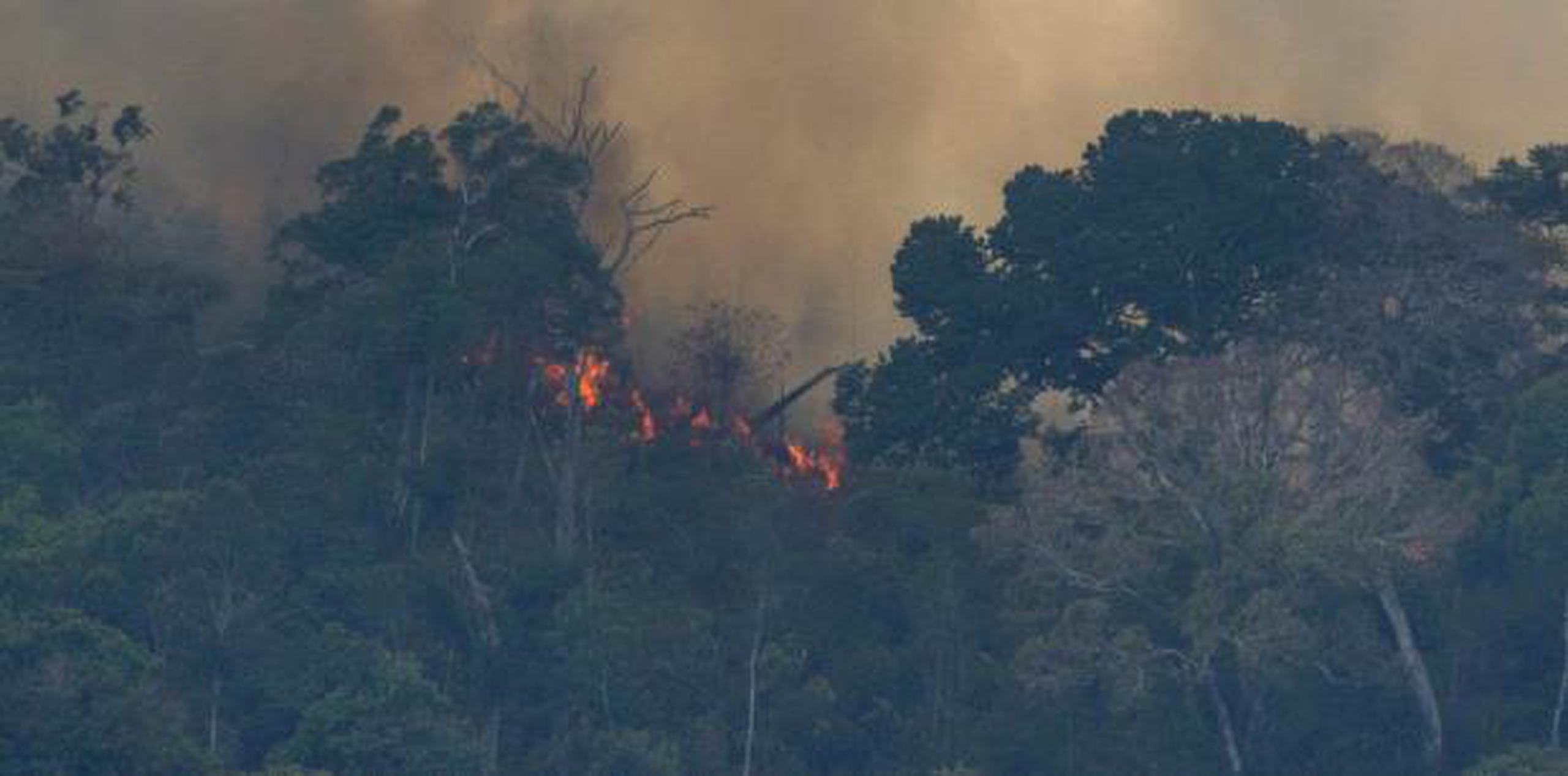 Los expertos federales brasileños reportaron una cifra récord de incendios forestales en el país sudamericano en lo que va del año, un aumento del 84% respecto al mismo periodo de 2018. (archivo)

