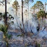 Personal del DRNA sale a Florida a combatir fuego en reserva natural