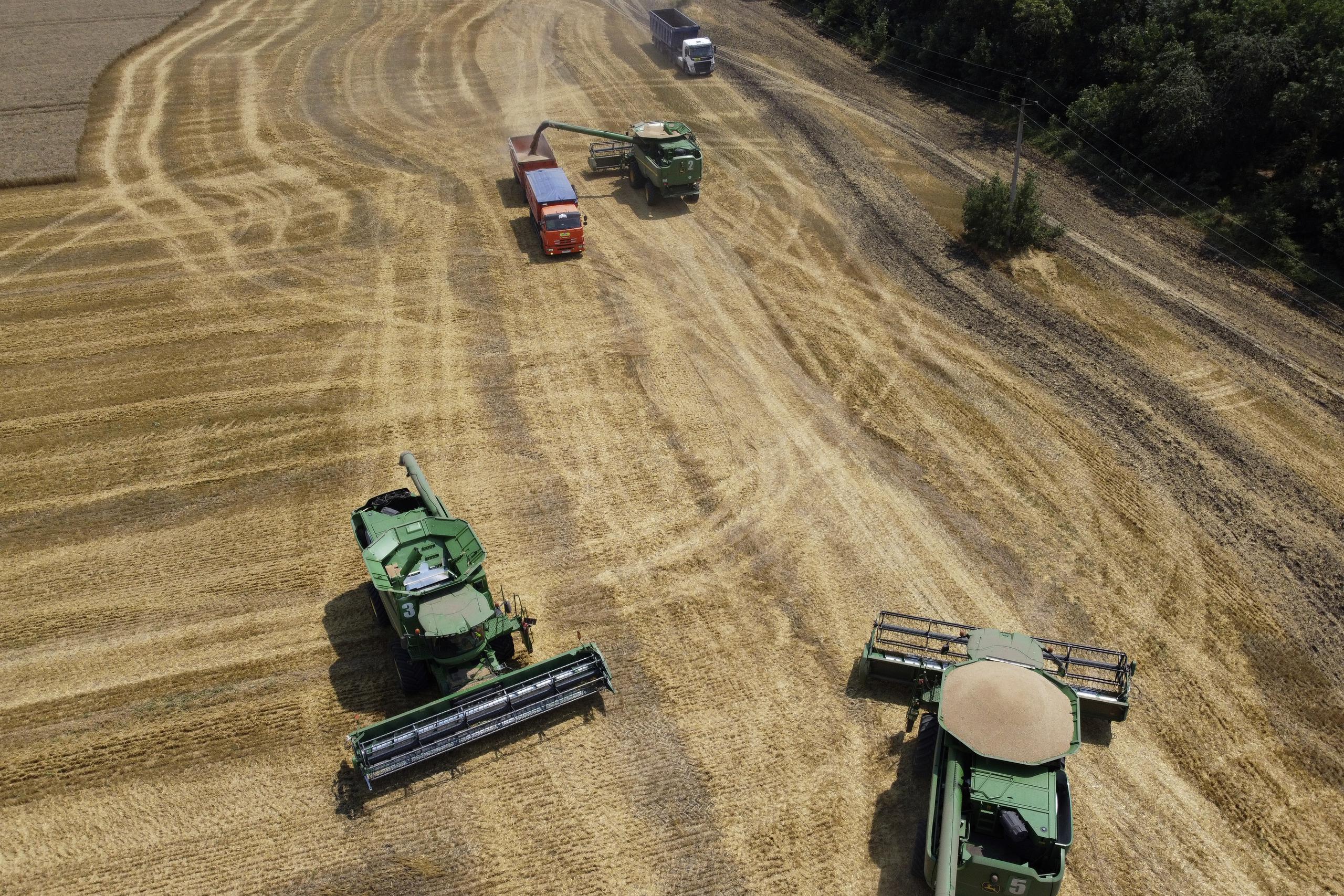 Tanto Rusia como Ucrania son dos de los mayores productores de cereales y de fertilizantes en el mundo.