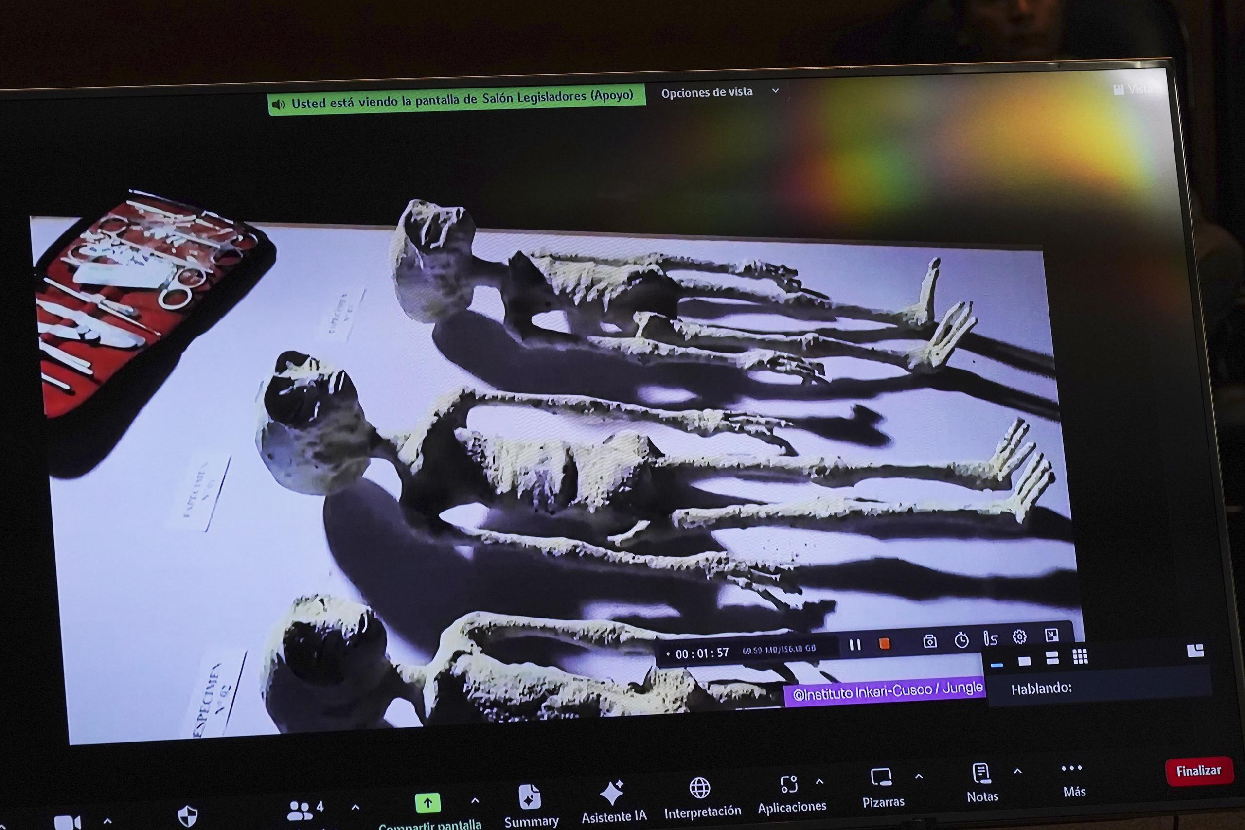 Una pantalla muestra lo que el periodista Jaime Maussan asegura que son formas de vida extraterrestre durante una sesión en la Cámara de Diputados, el martes 7 de noviembre de 2023, en Ciudad de México.