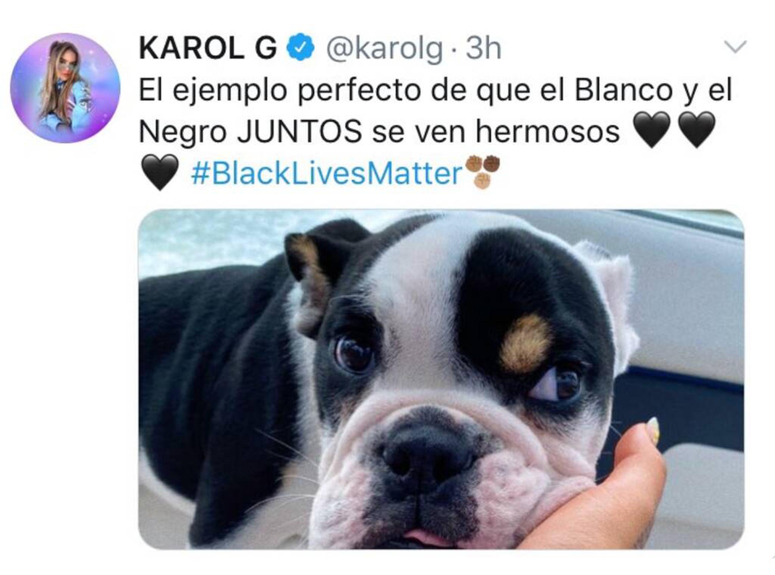 “El ejemplo perfecto de que el blanco y el negro juntos se ven hermosos”, expresó Karol G junto a una foto de su perro.