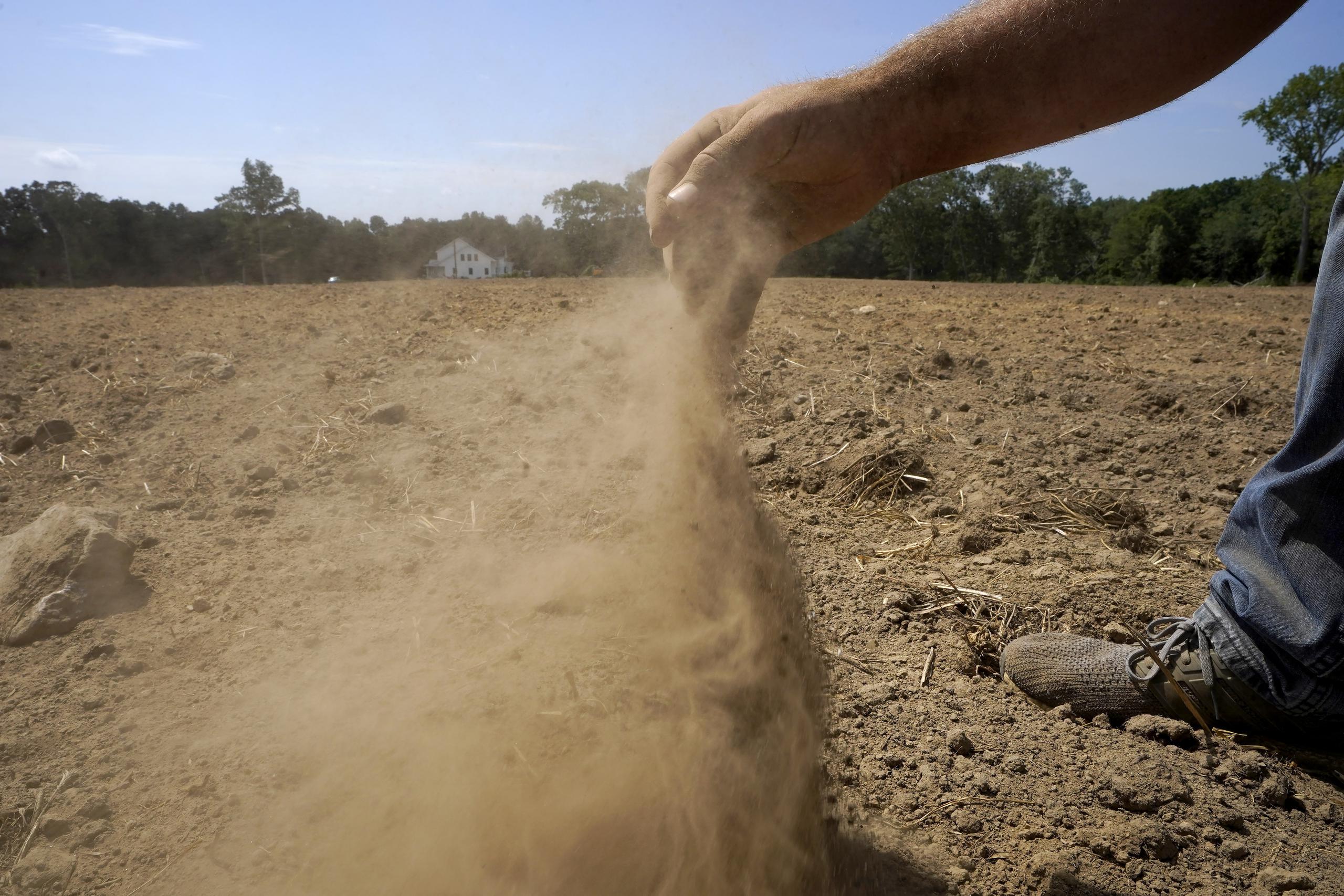 El productor de heno Milan Adams suelta un puñado de tierra seca en un campo recién arado, en Exeter, Rhode Island.