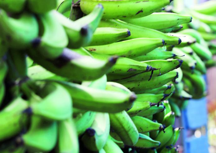 PRoduce lidera una iniciativa con empresas sociales y comerciantes boricuas para comprar la mayor cantidad de plátanos posible durante las próximas semanas y mitigar las pérdidas de los productores.