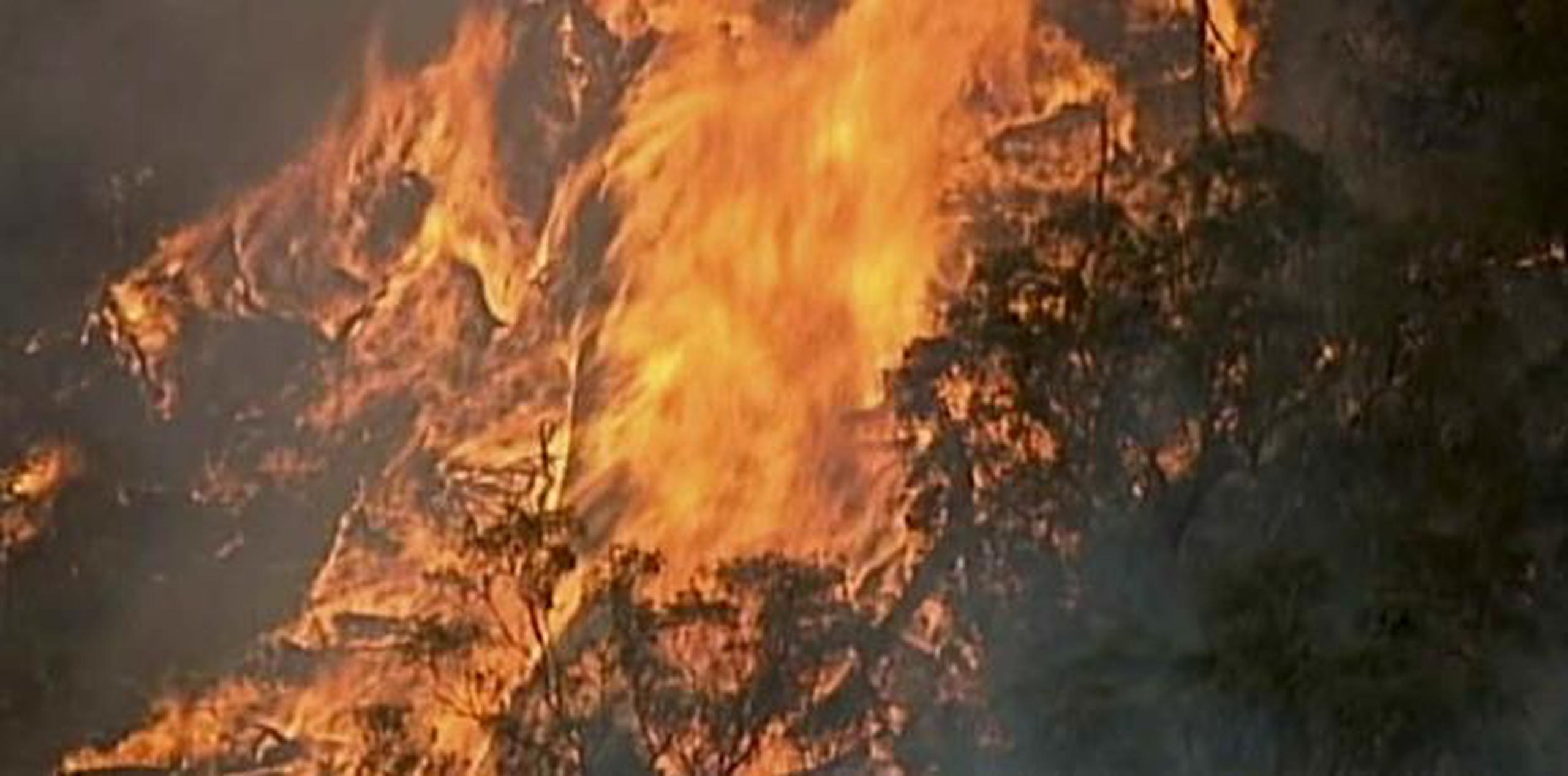 Un incendio hoy en Bundoora, en el estado de Victoria, Australia. (AP)