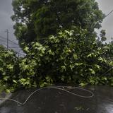 Mínimo el impacto del huracán Fiona en costa este de  Puerto Rico