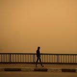 Aumenta la frecuencia de tormentas de arena y polvo en el mundo, advierte la ONU