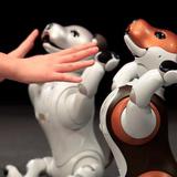 Sony presenta versión "policía" de su perro-robot