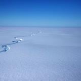 Gigantesco iceberg se desprende de la Antártida 