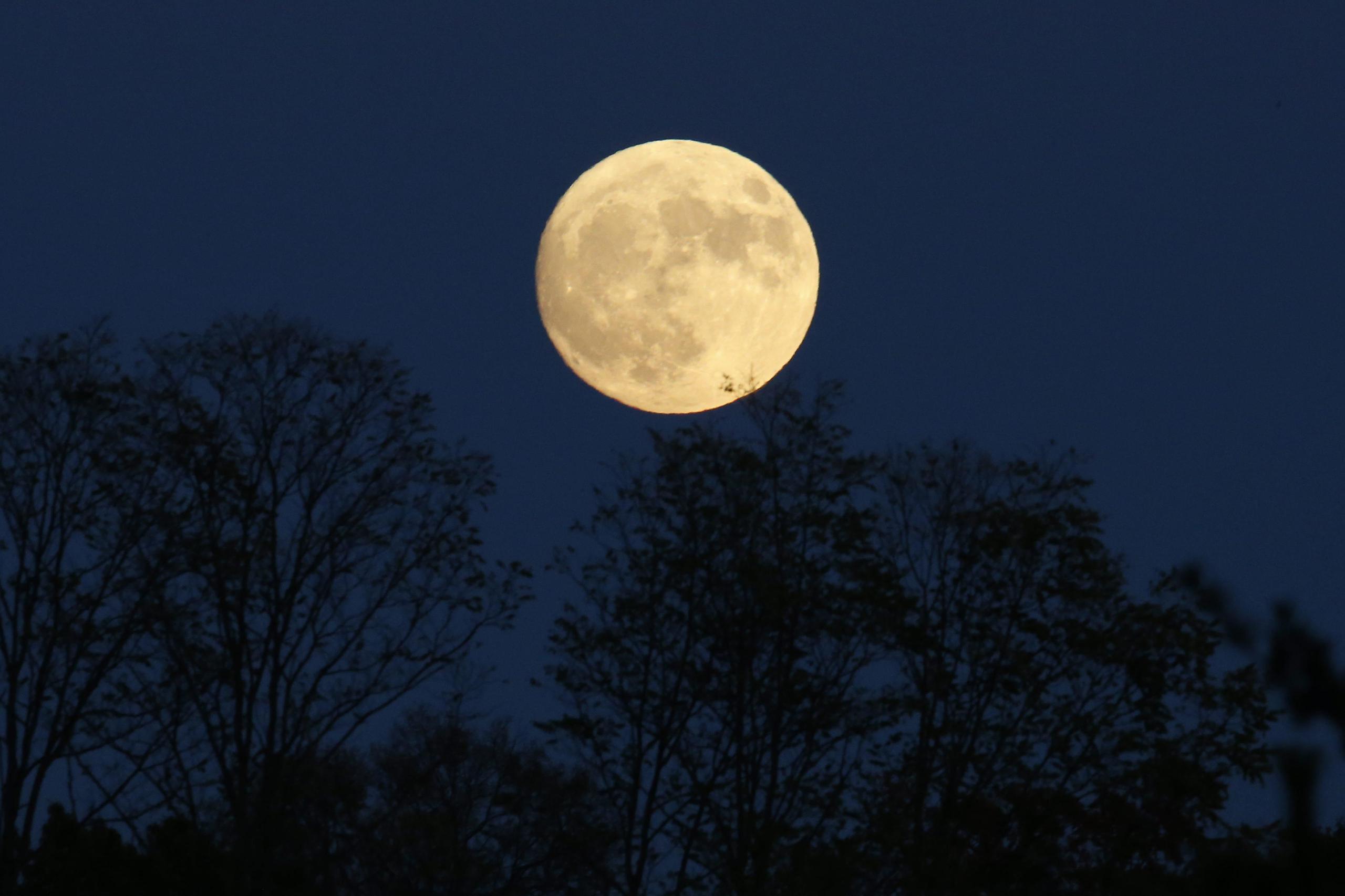Un eclipse lunar dará inicio al espectáculo el viernes por la noche. (Archivo / EFE)